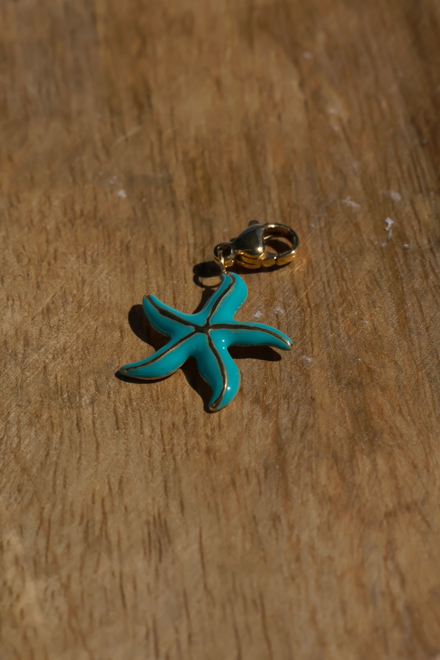Charms Etoile de mer 4