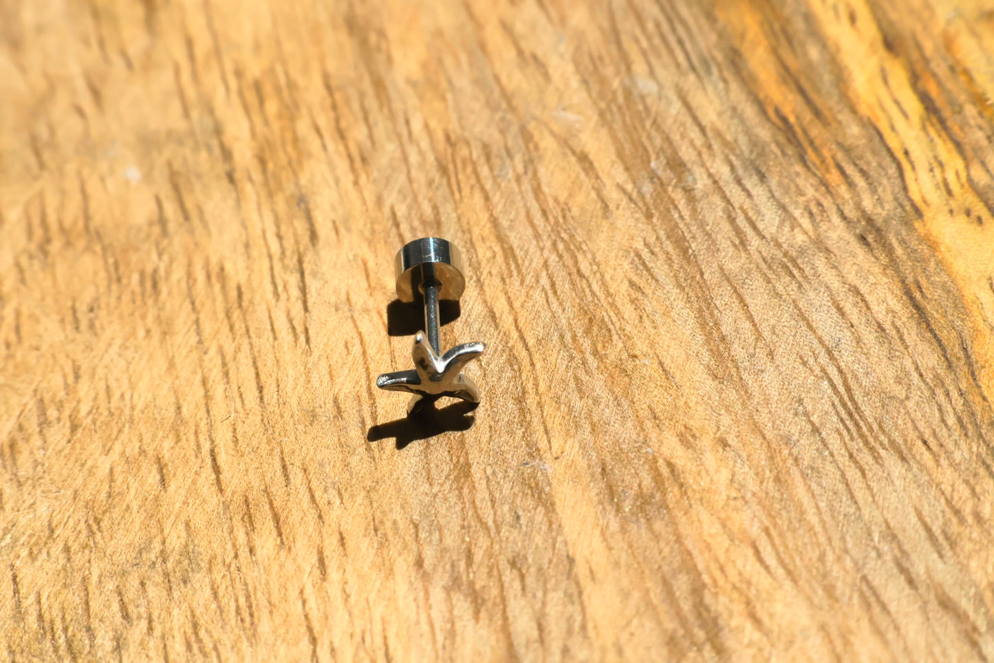 Piercing étoile de mer