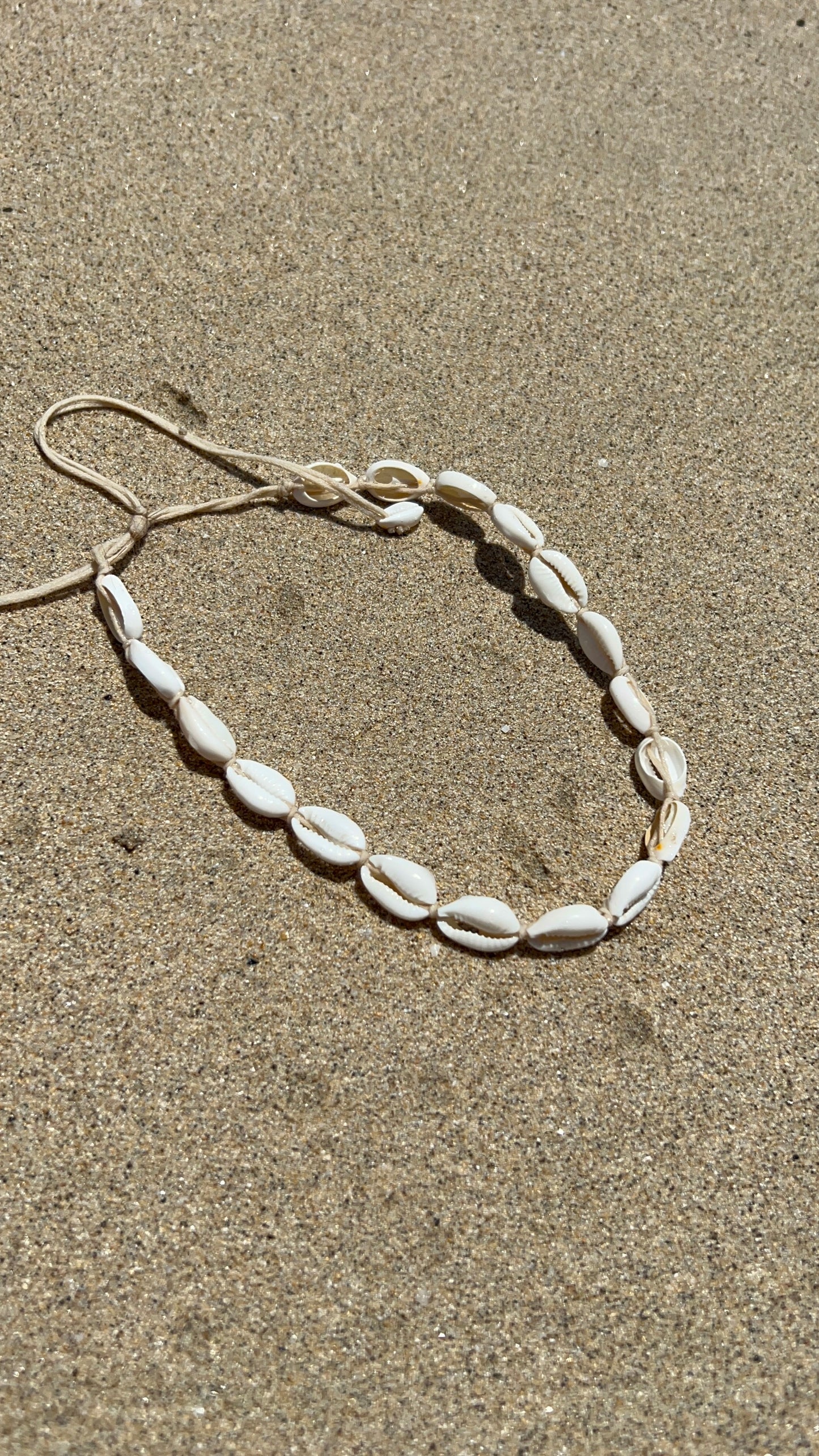 Collier Coquillage