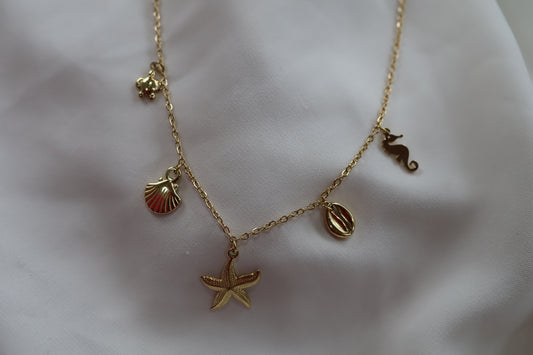 Collier Marine