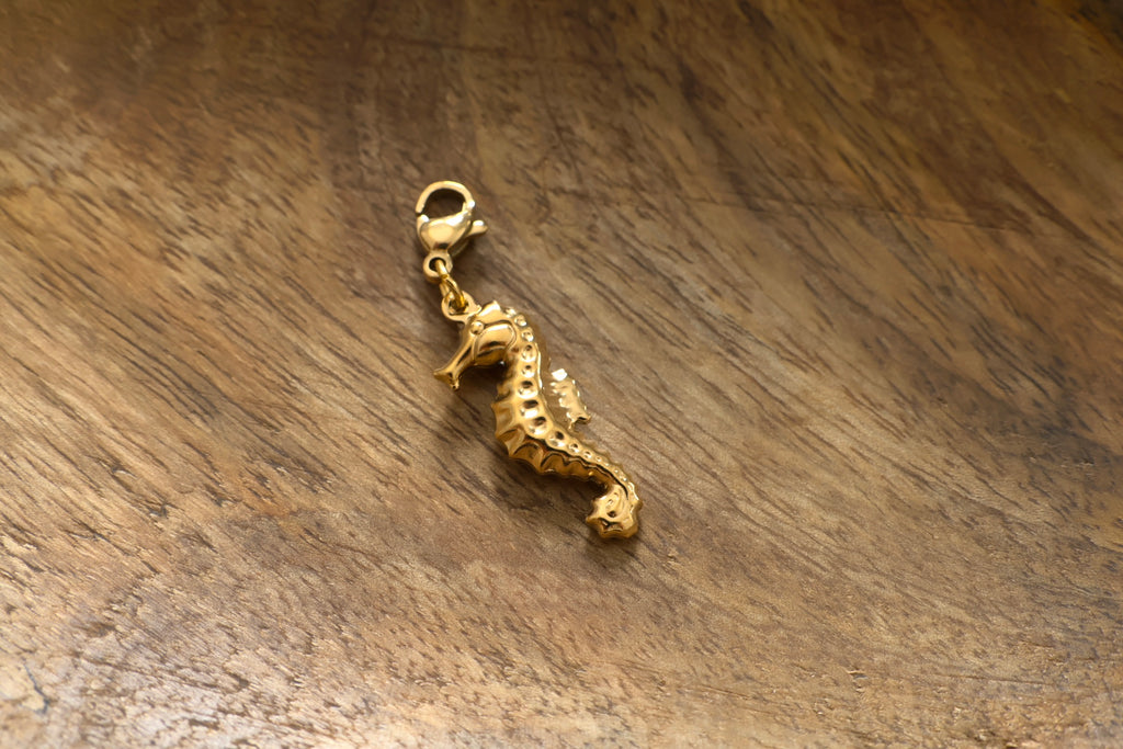 Charms Hippocampe