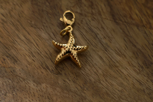 Charms Etoile 2