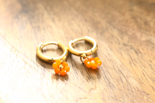 Boucles d'oreilles Rosa