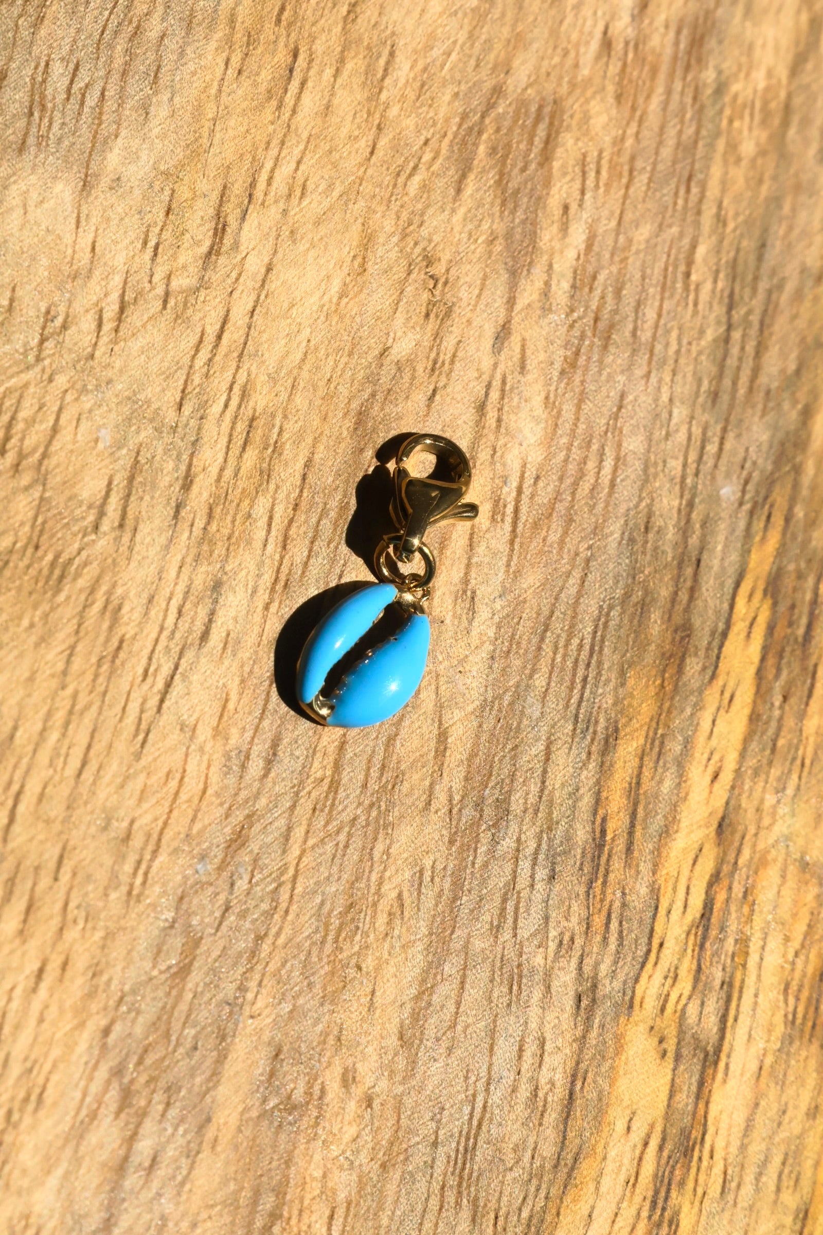 Charms coquillages colorés