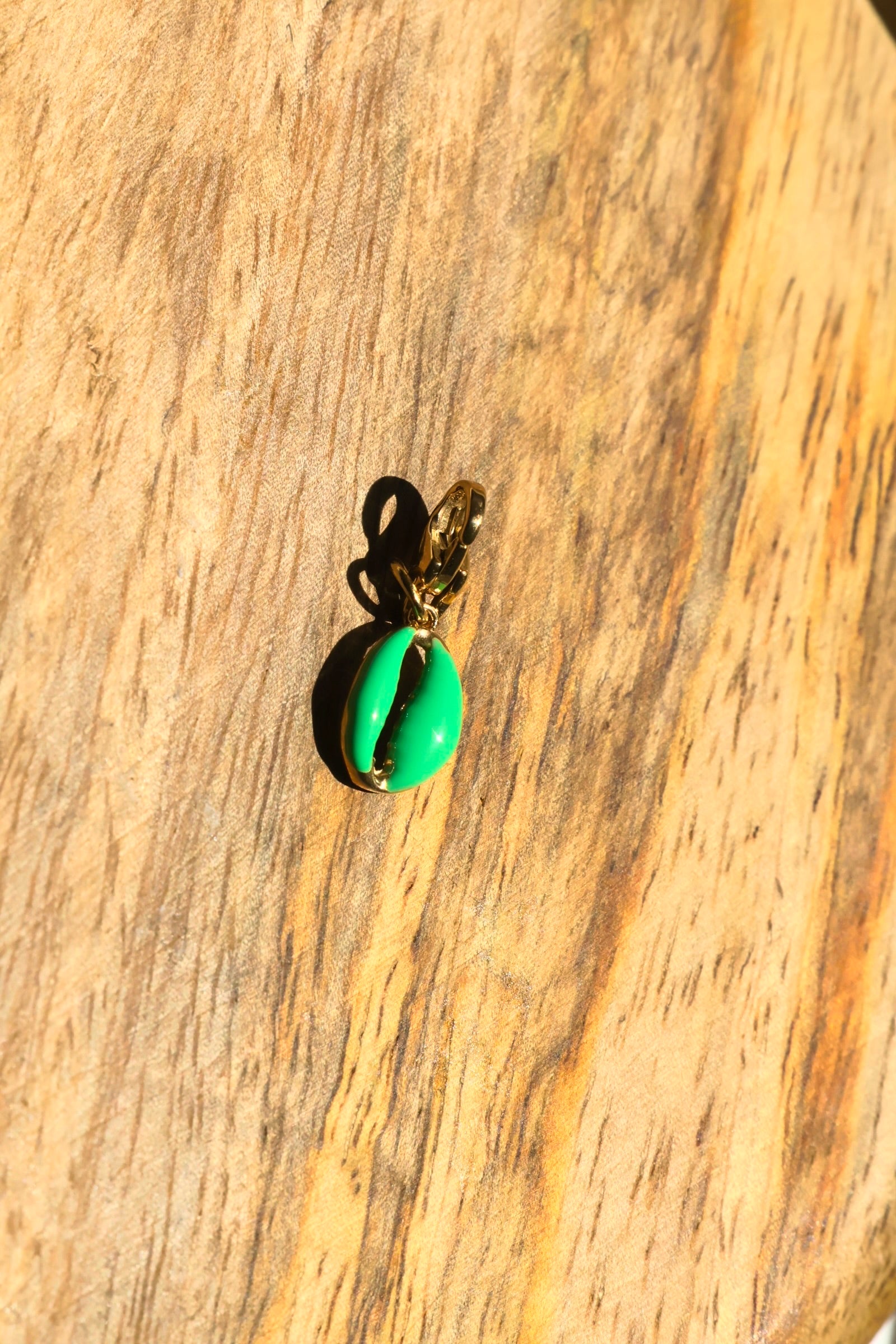 Charms coquillages colorés