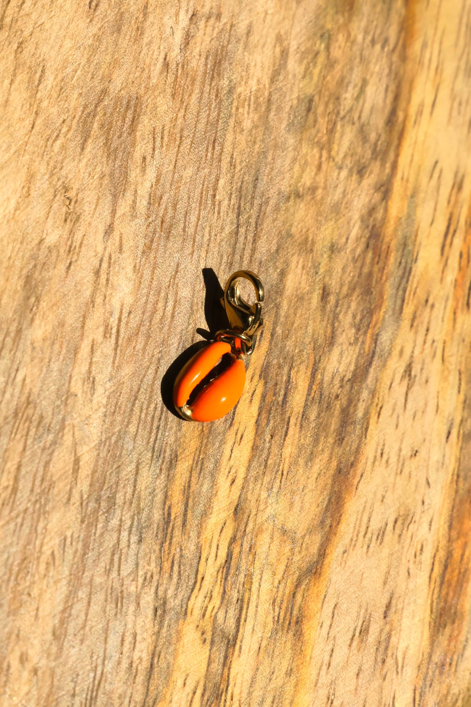 Charms coquillages colorés