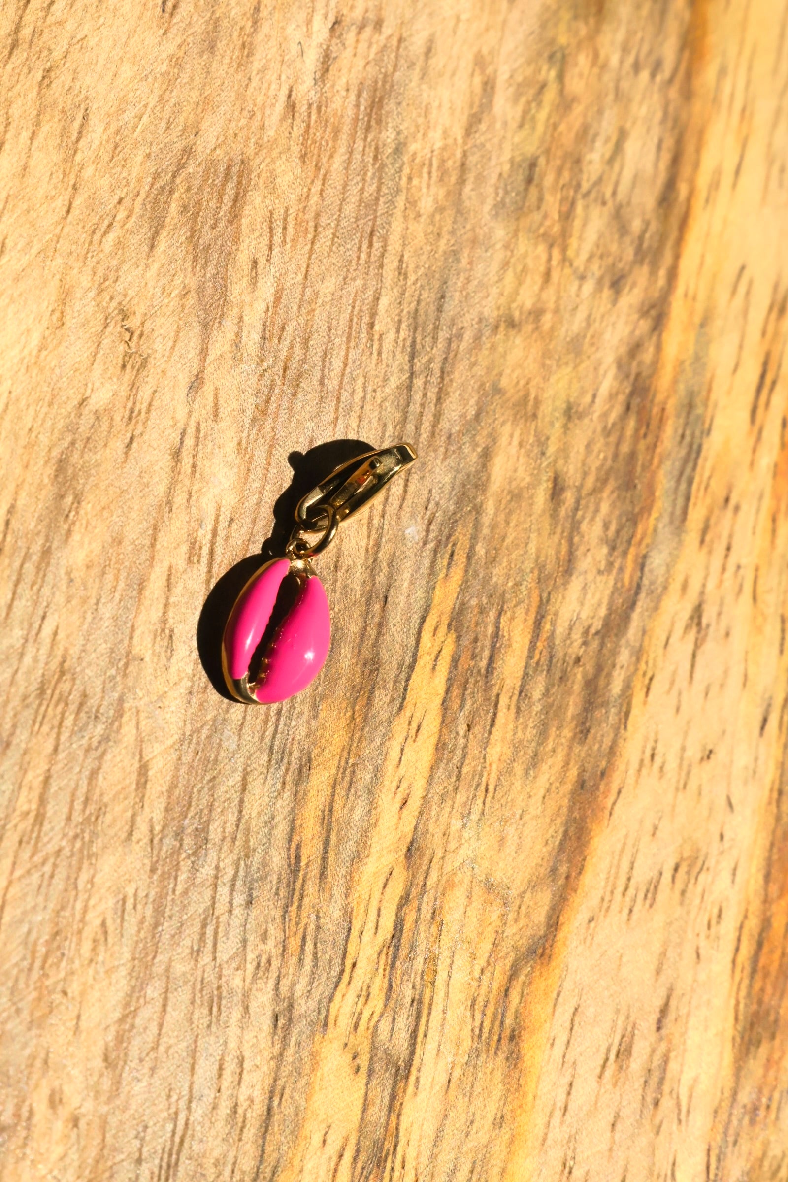 Charms coquillages colorés