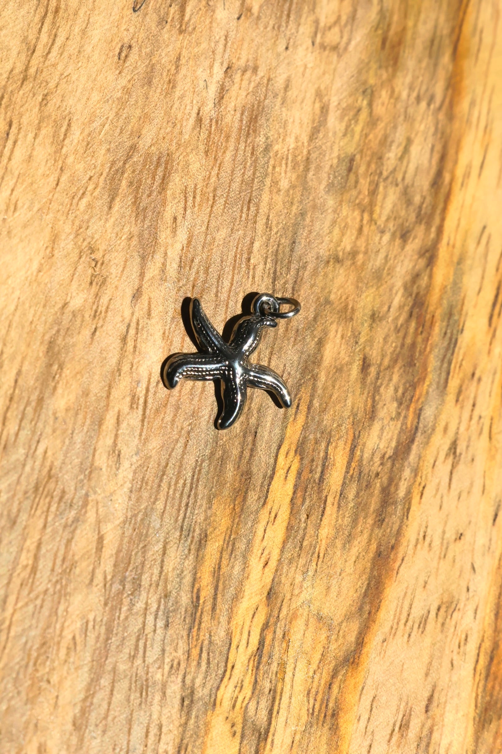 Charms étoile de mer 6