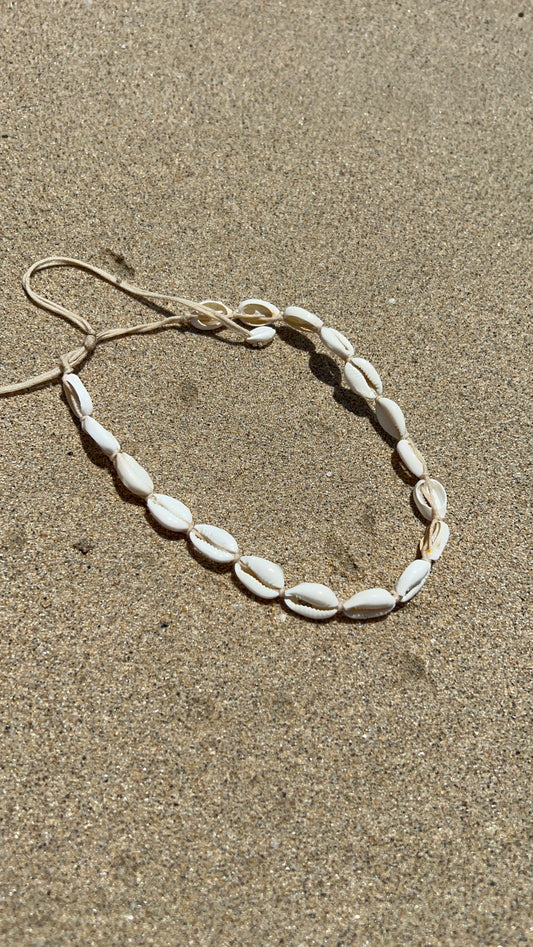 Collier Coquillage