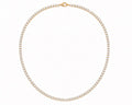 Collier Starly